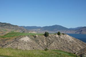 Tobiano 8th